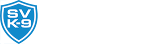 Stealth Vigilance Logo
